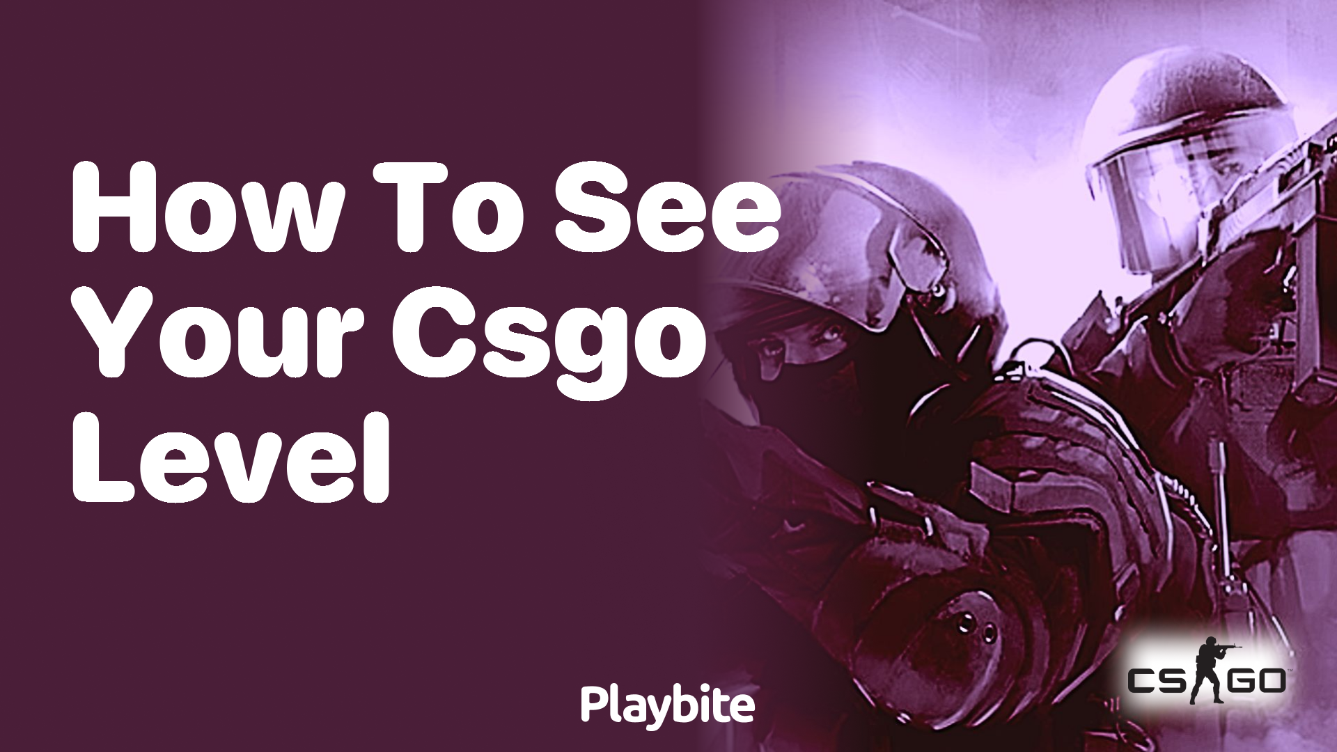 How to see your CS:GO level