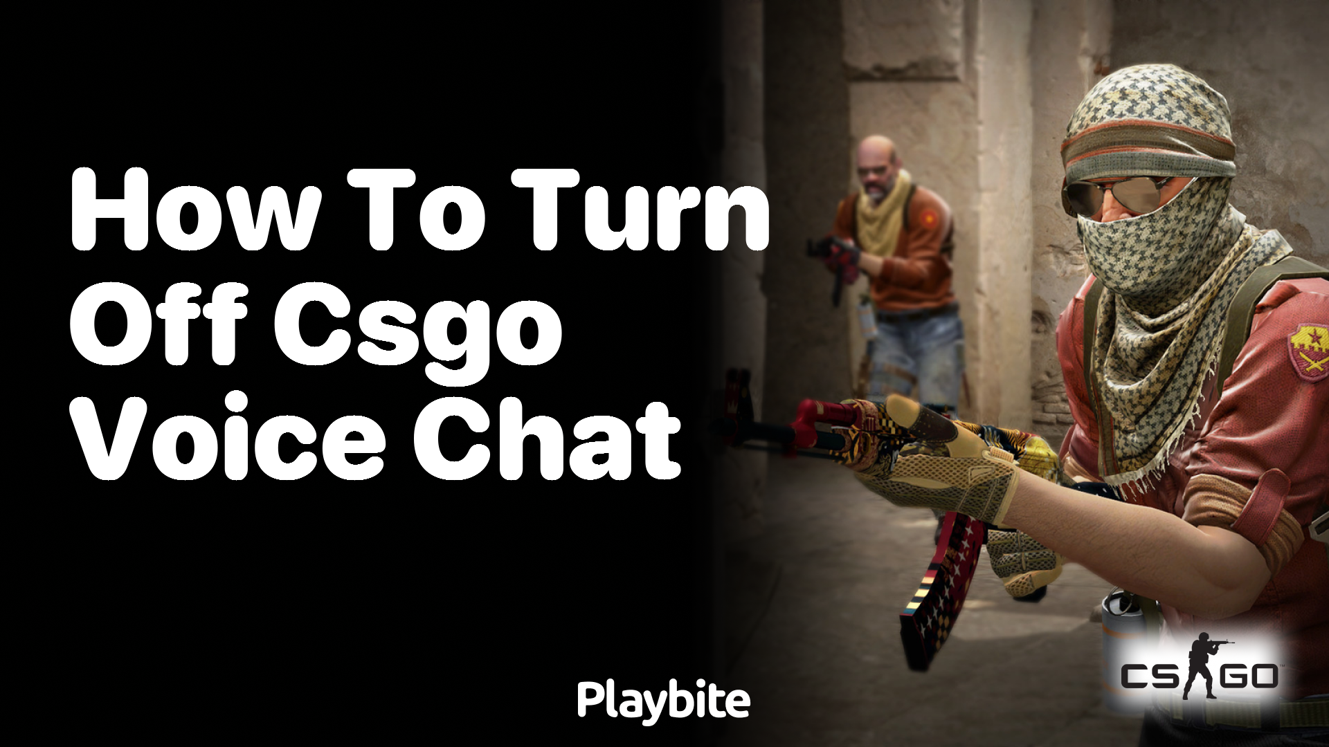 How to turn off CS:GO voice chat