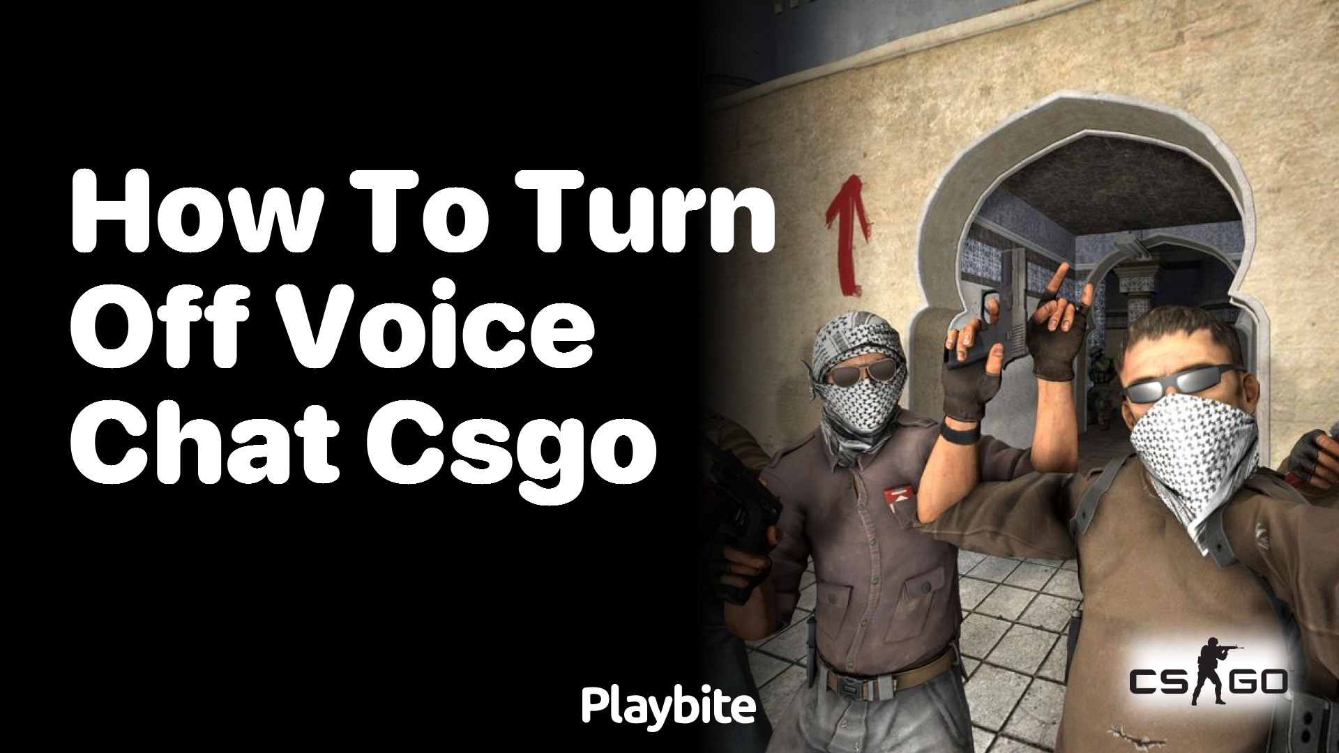 How to turn off voice chat in CS:GO