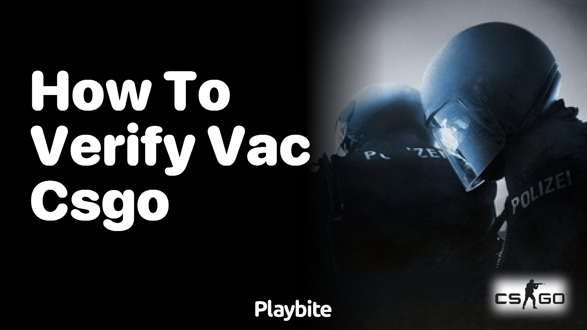 How to verify VAC in CS:GO?