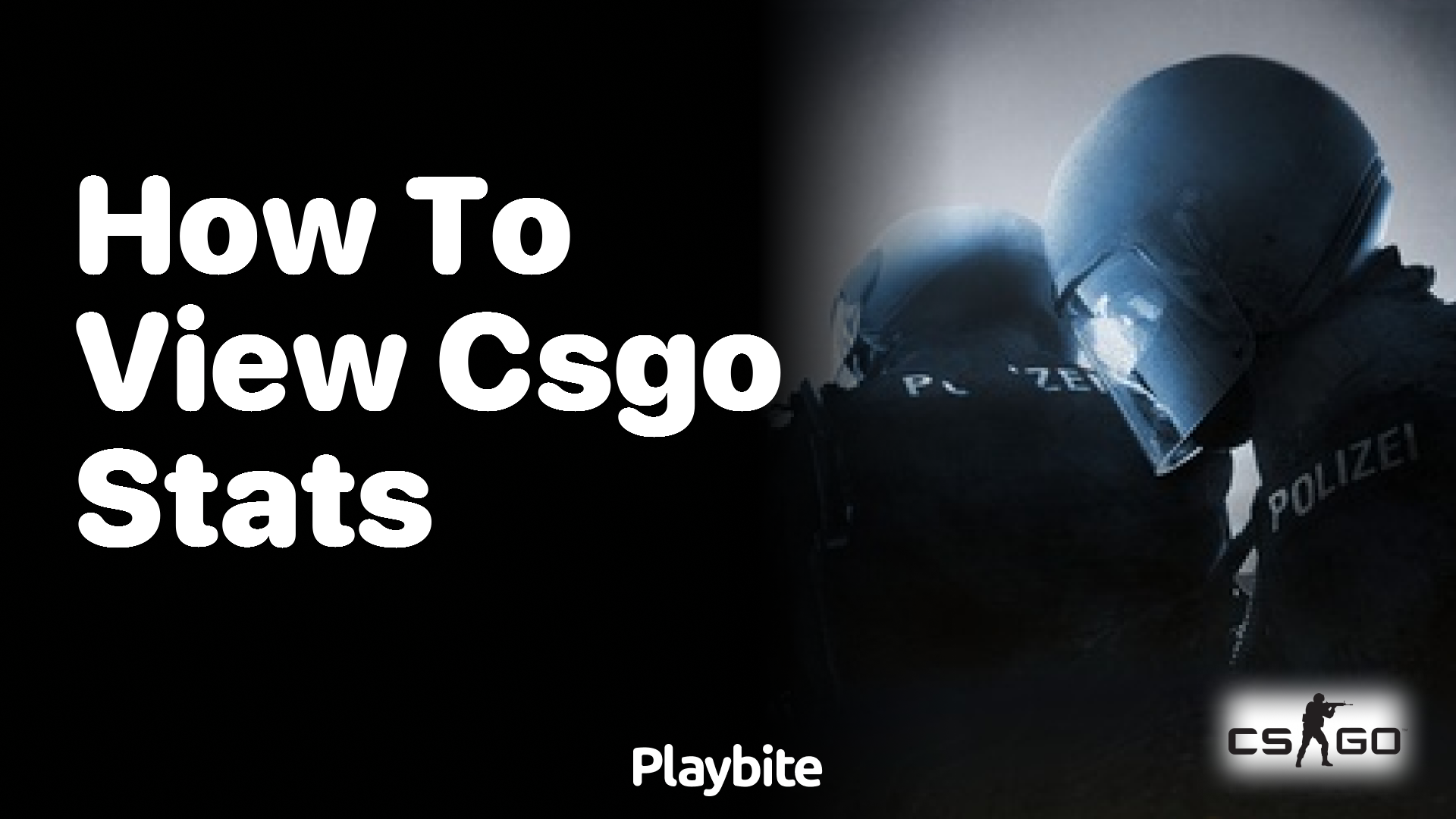 How to View CS:GO Stats