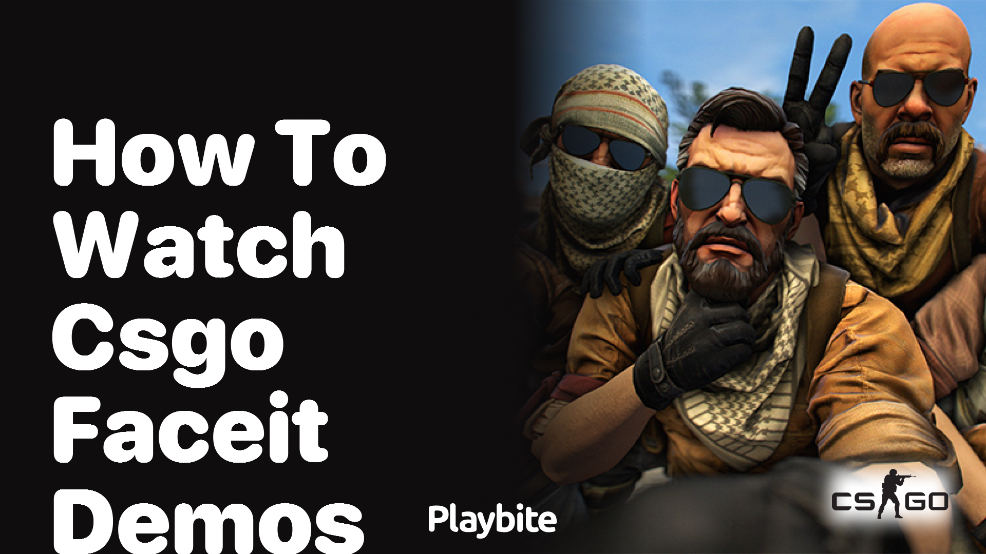 How to watch CS:GO Faceit demos - Playbite