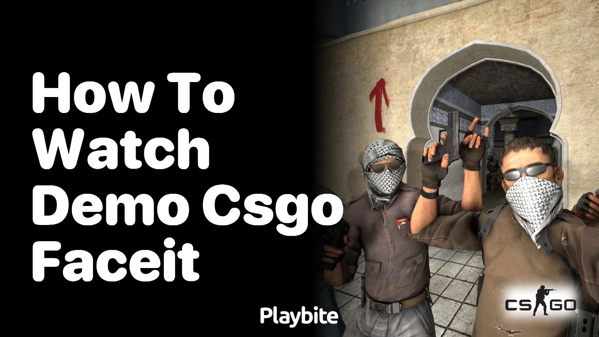 How to watch a CS:GO Faceit demo?