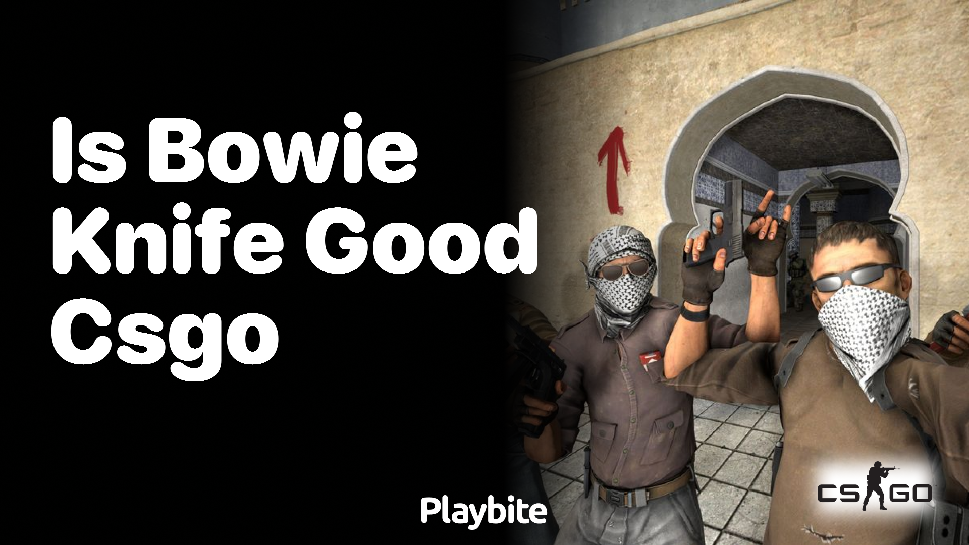 Is the Bowie Knife Good in CS:GO?