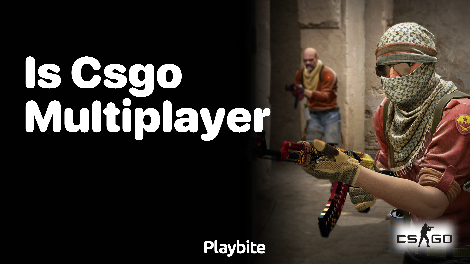 Is CS:GO multiplayer?