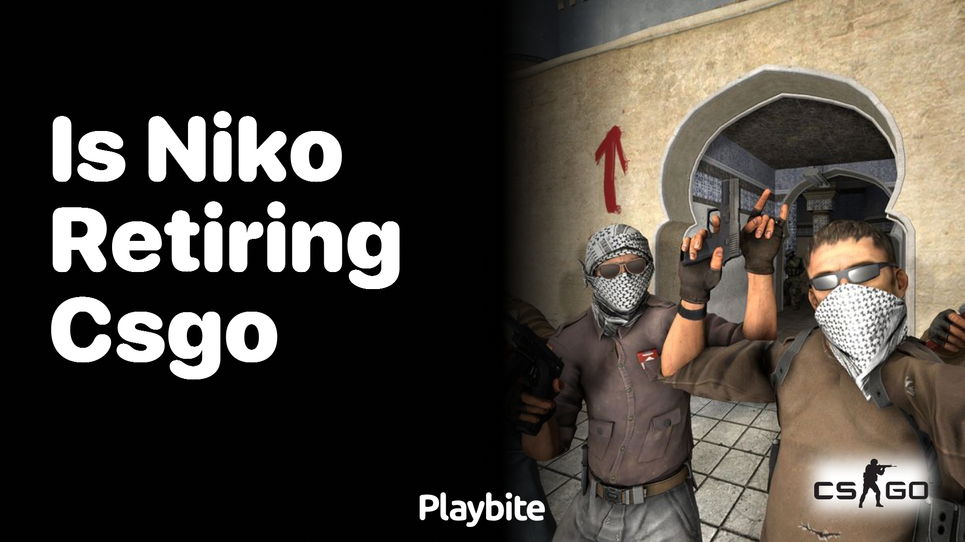 Is NiKo retiring from CS:GO?