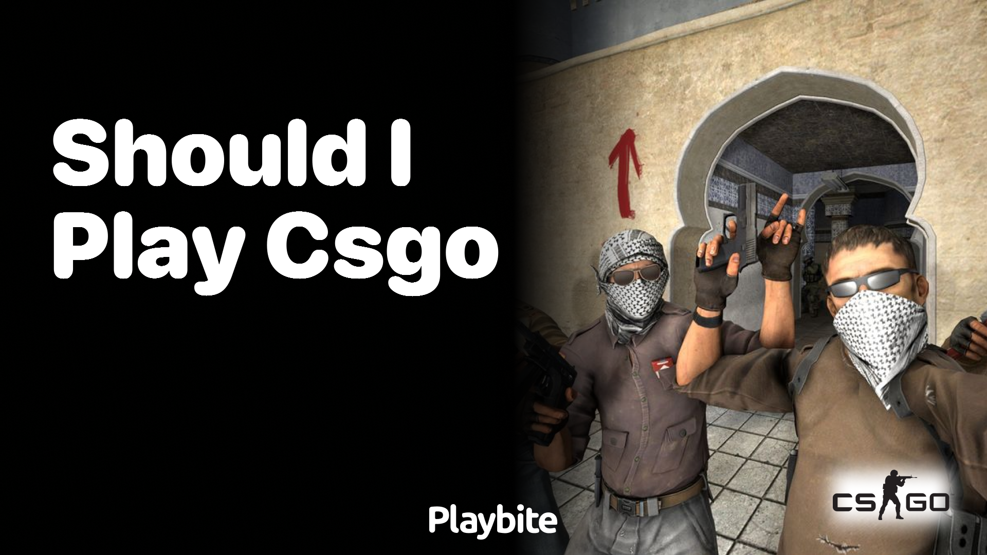 Should I play CS:GO?