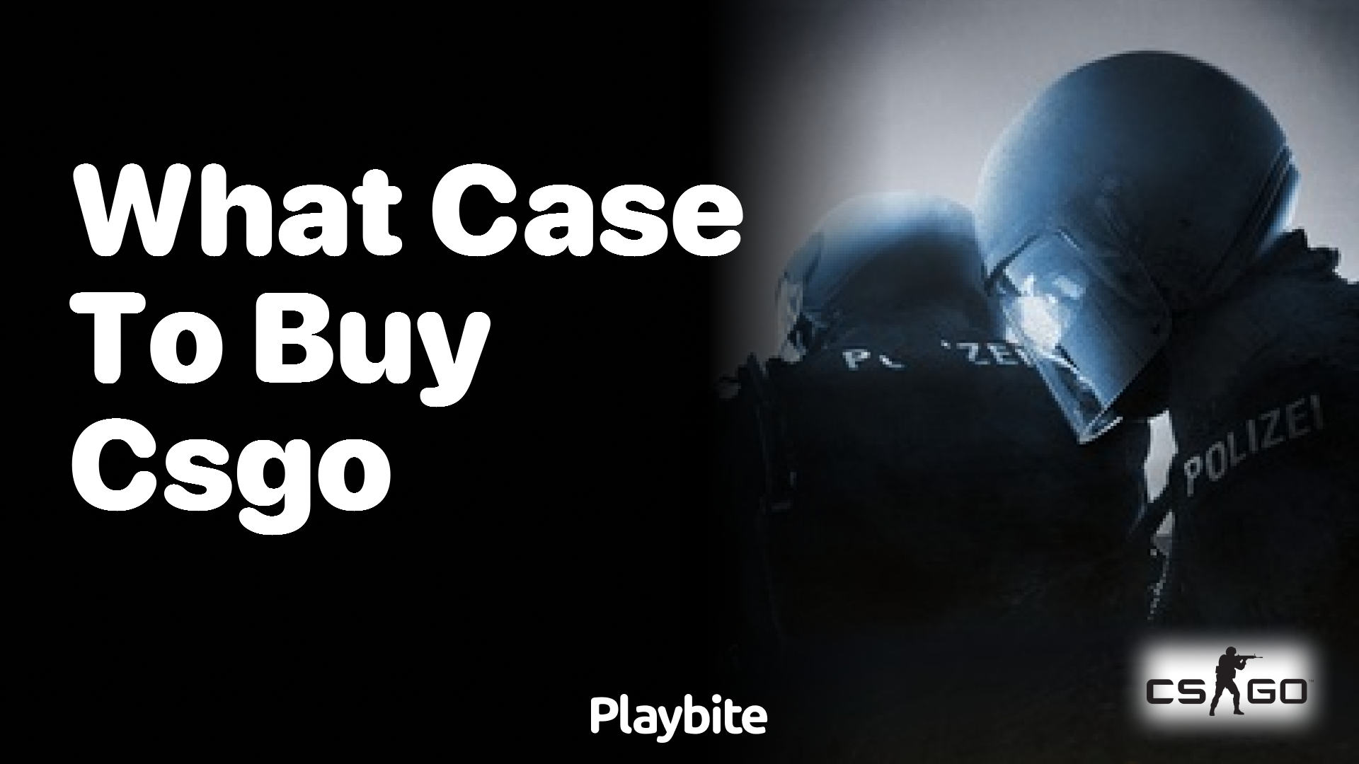 What case should I buy in CS:GO?