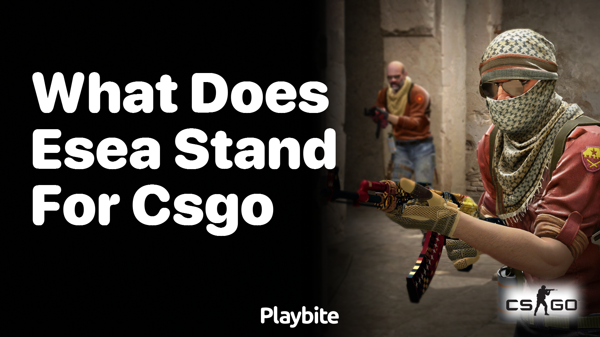 What does ESEA stand for in CS:GO?