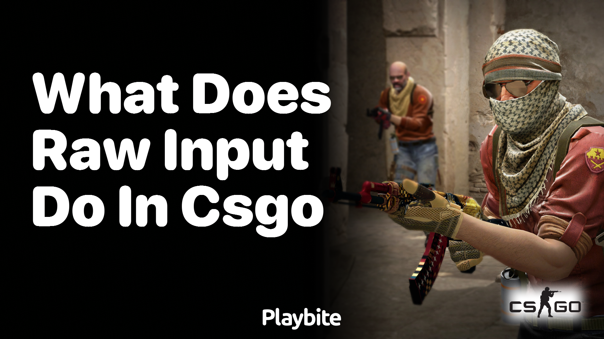 What does raw input do in CS:GO?