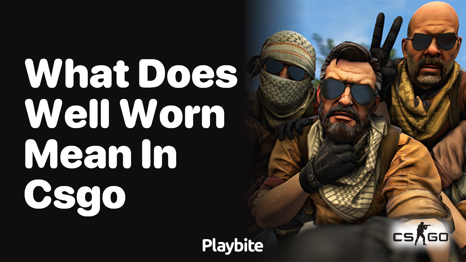 What does &#8216;Well-Worn&#8217; mean in CS:GO?