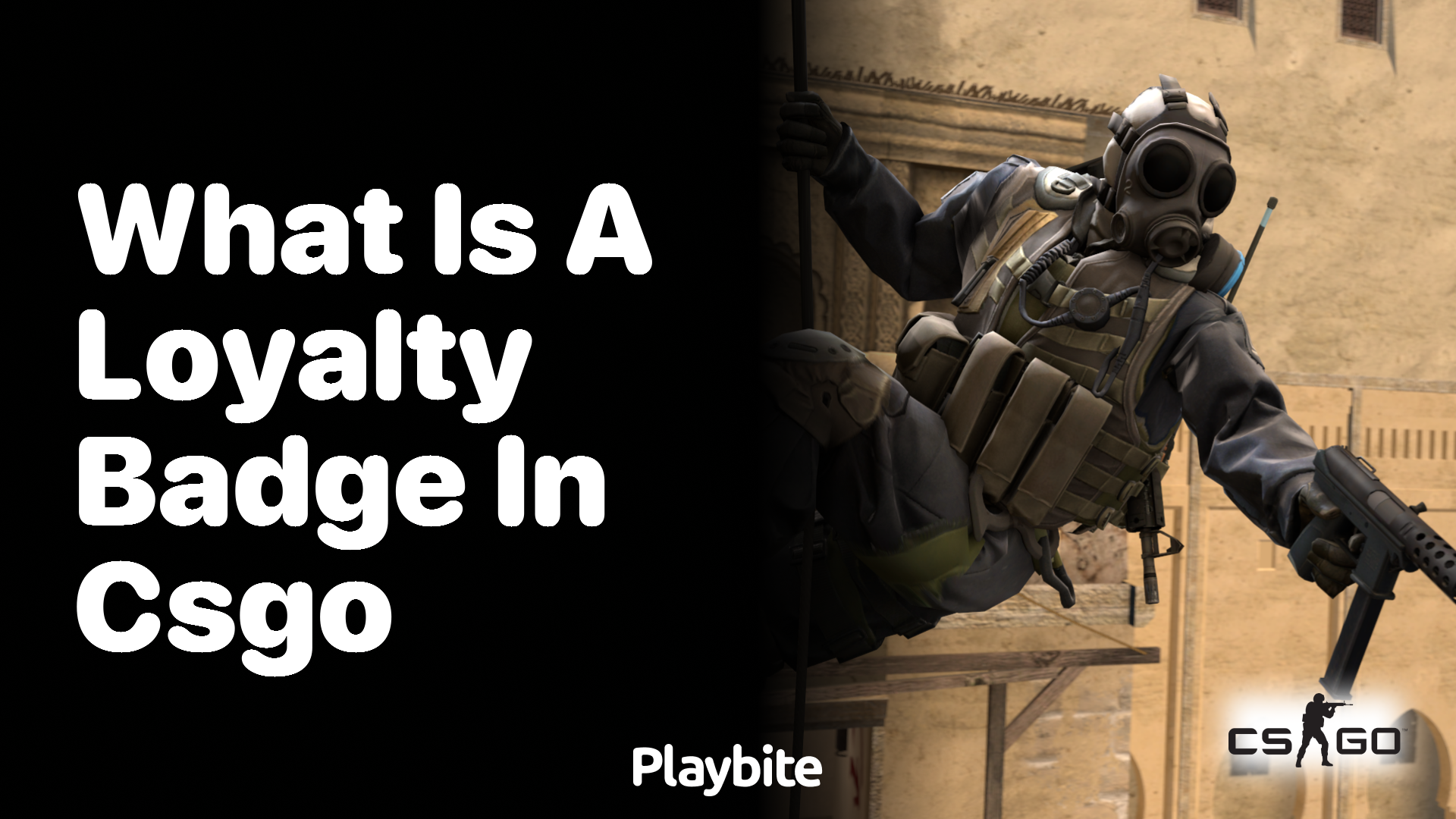 What is a Loyalty Badge in CS:GO?