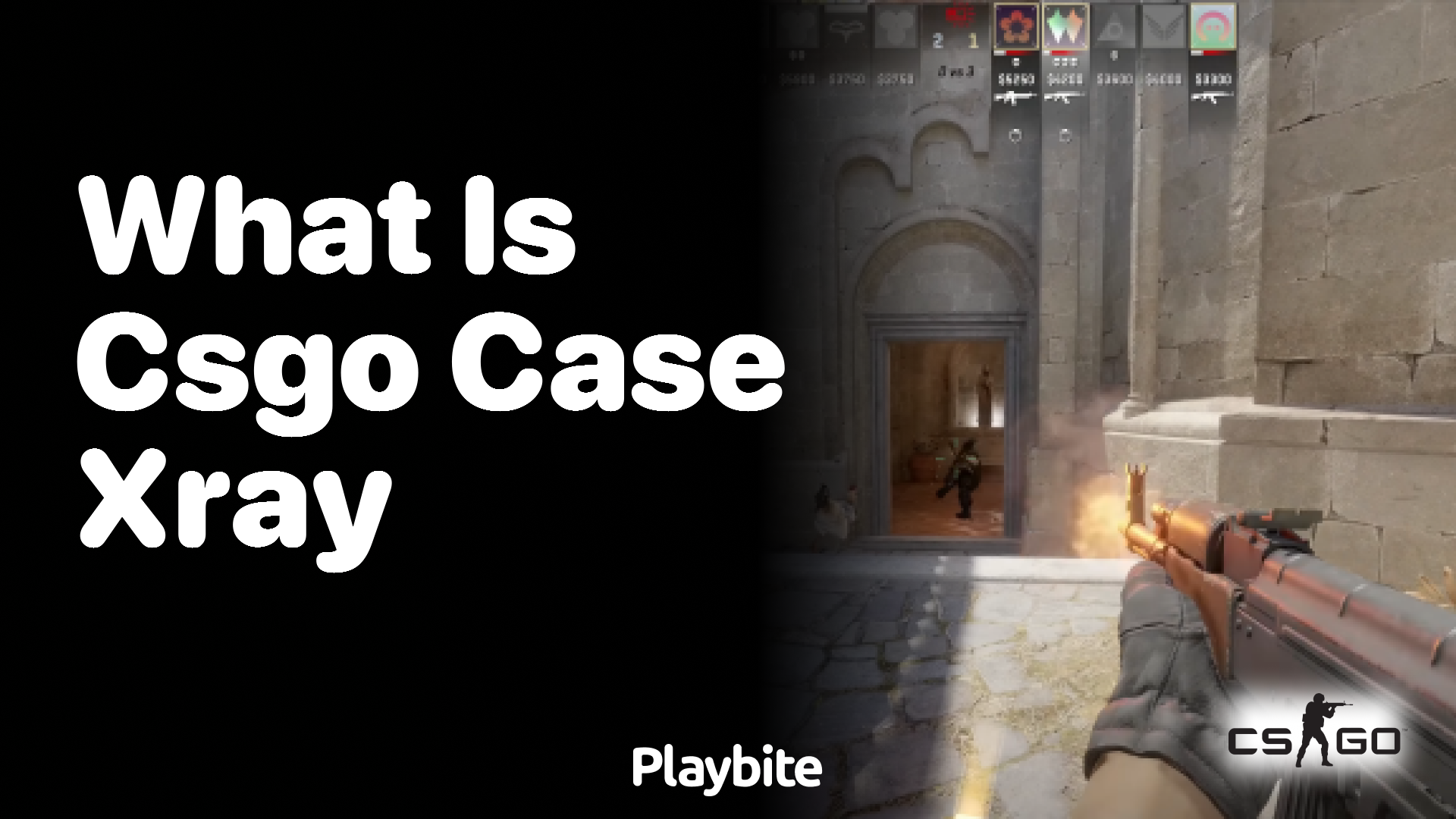 What is CS:GO Case X-Ray?