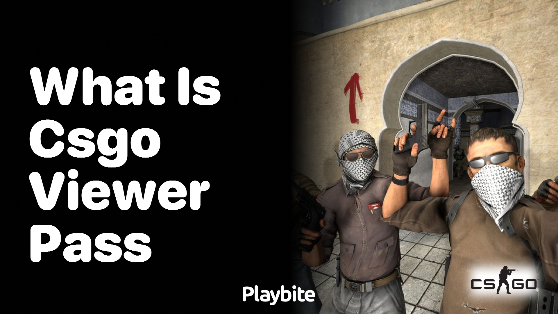 What is a CS:GO viewer pass?