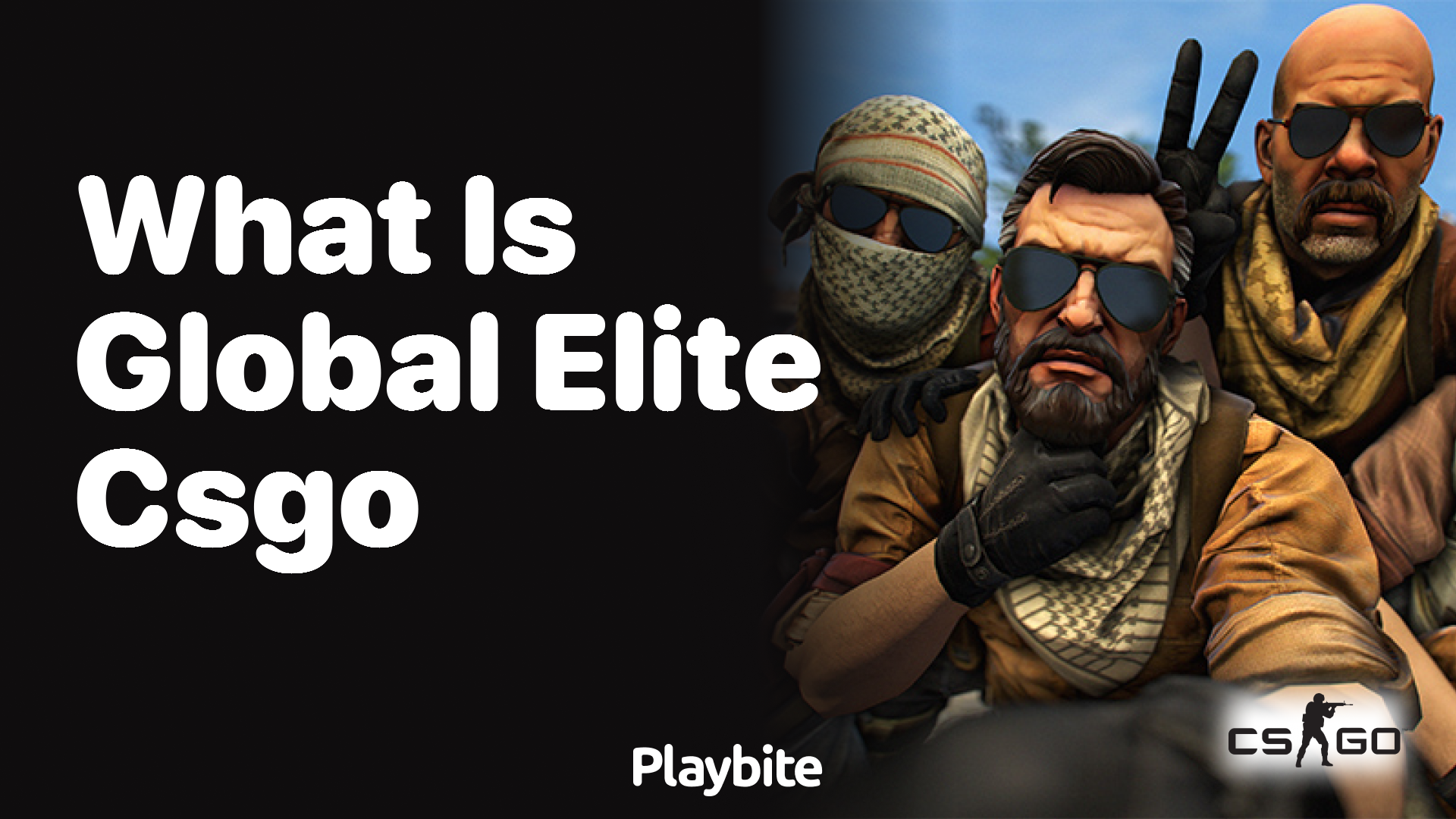 What is Global Elite in CS:GO?