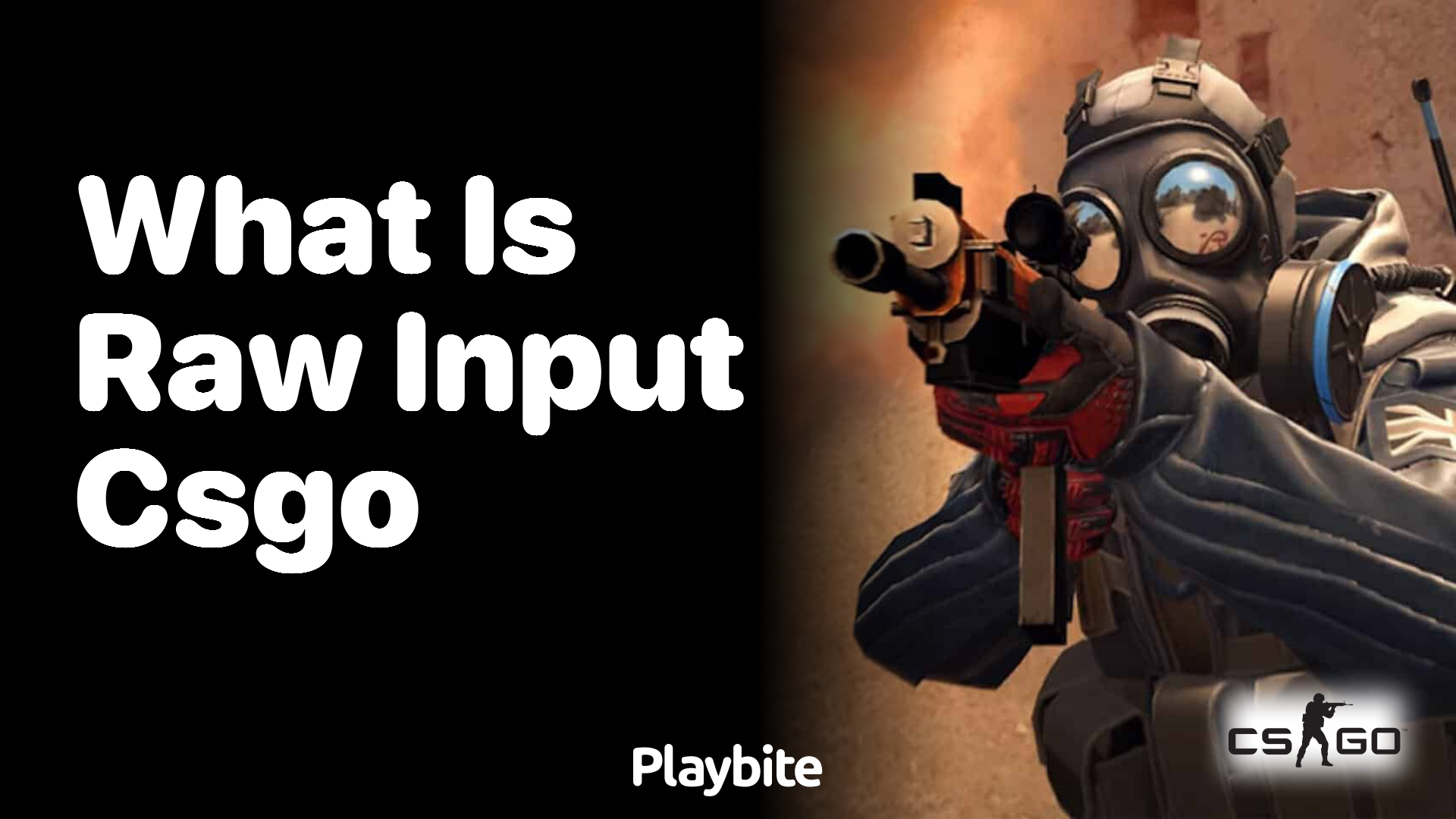 What is raw input in CS:GO?