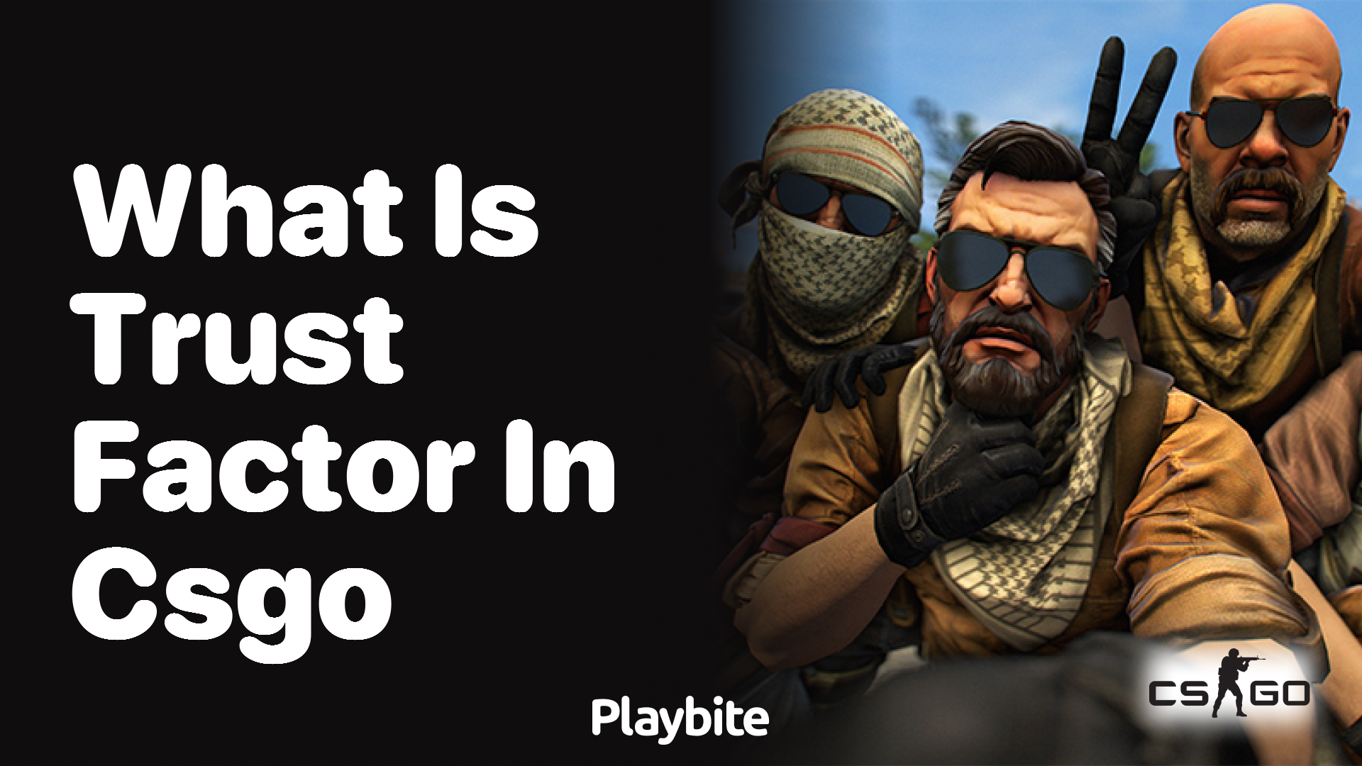 What Is Trust Factor in CS:GO?