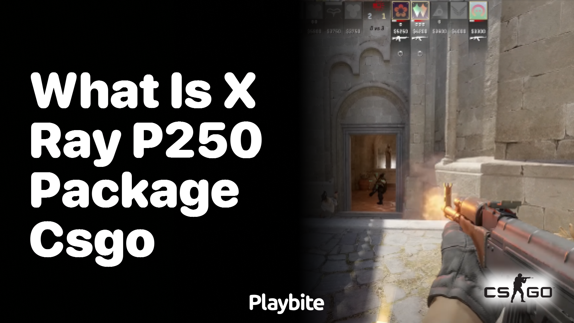 What is the X-Ray P250 package in CS:GO?