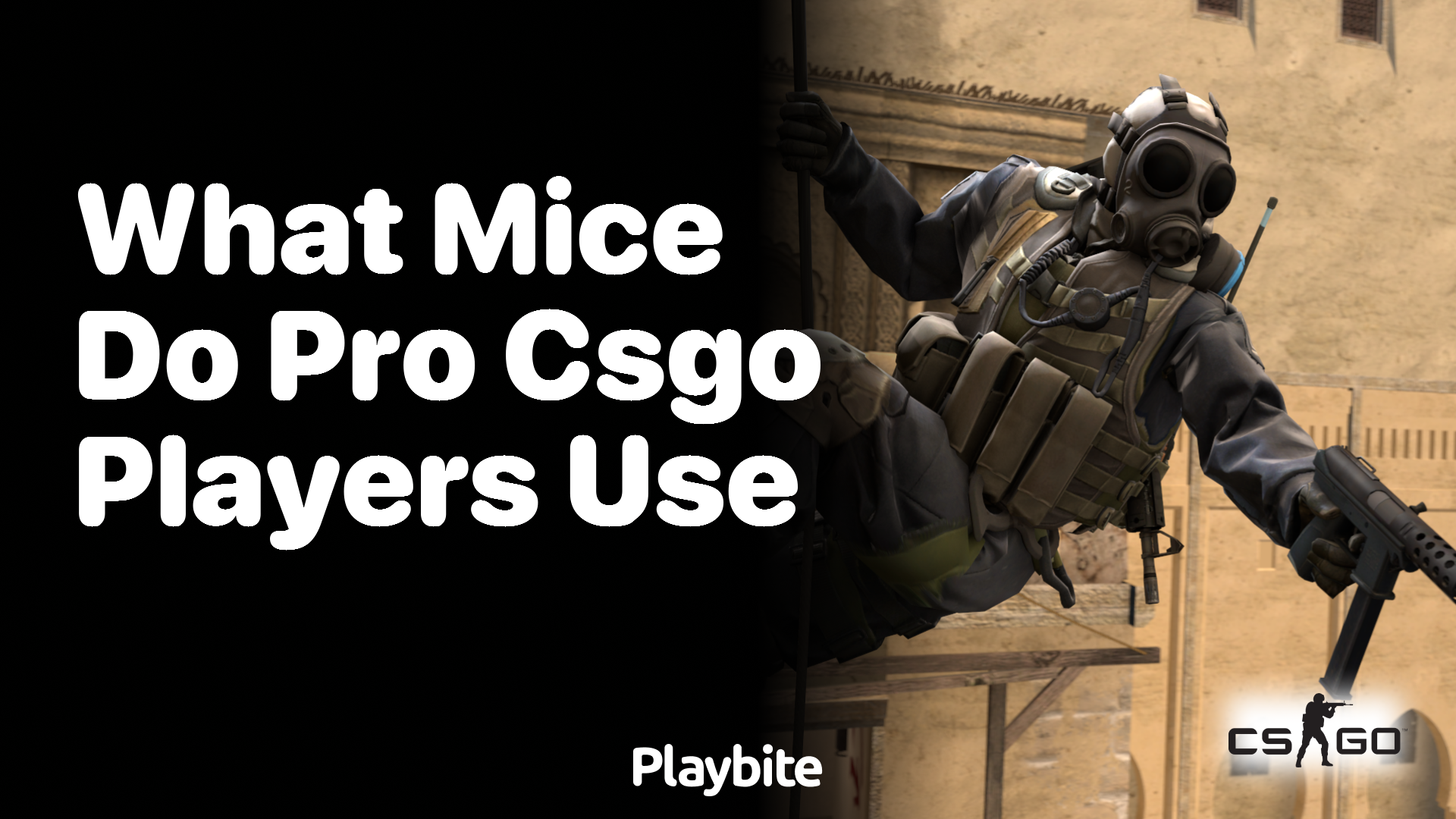 What Mice Do Pro CS:GO Players Use?