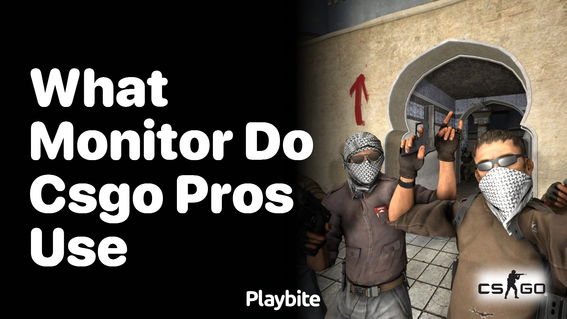 What monitor do CS:GO pros use?