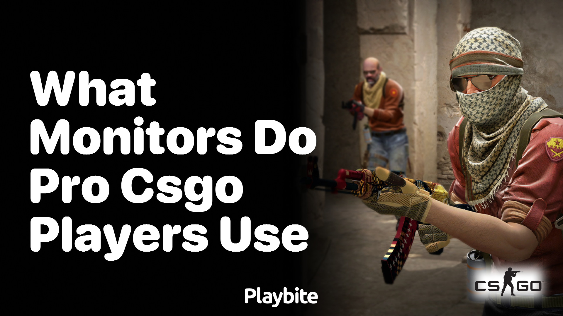 What Monitors Do Pro CS:GO Players Use?