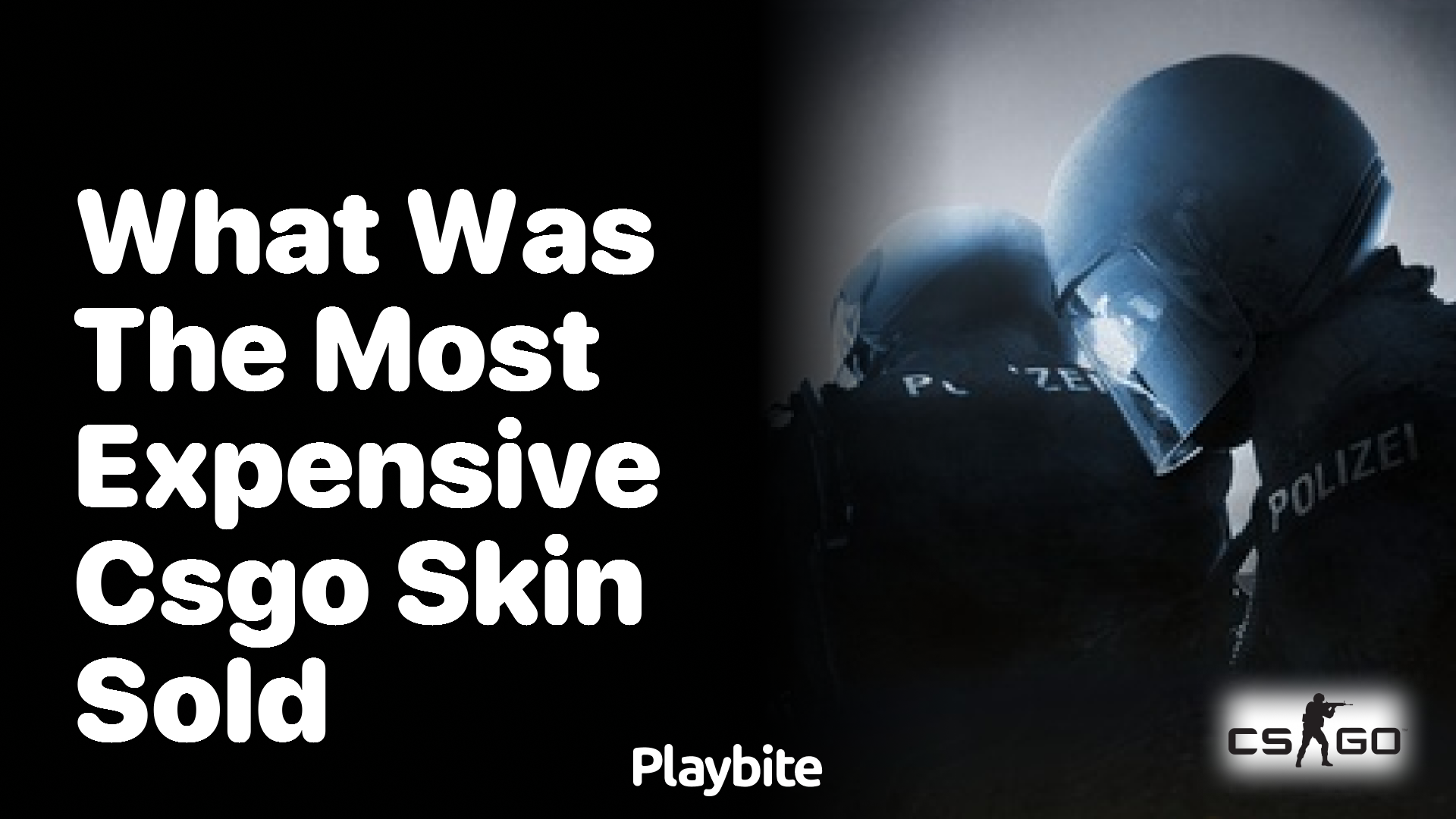 What was the most expensive CS:GO skin sold?