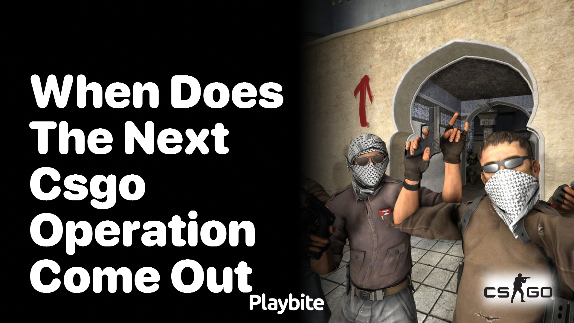 When does the next CS:GO operation come out?