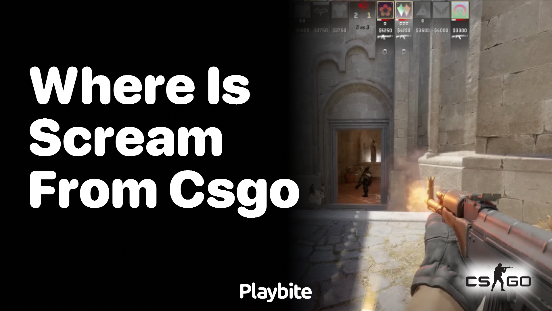 Where is ScreaM from in CS:GO?