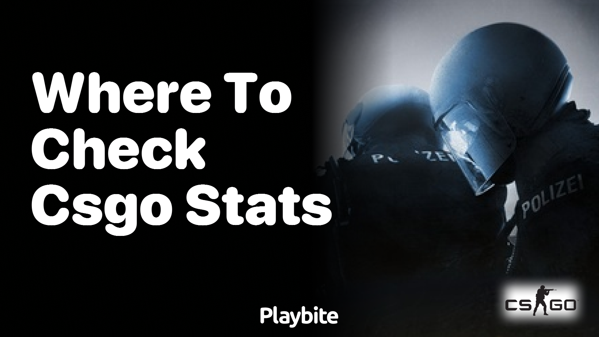 Where to check CS:GO stats