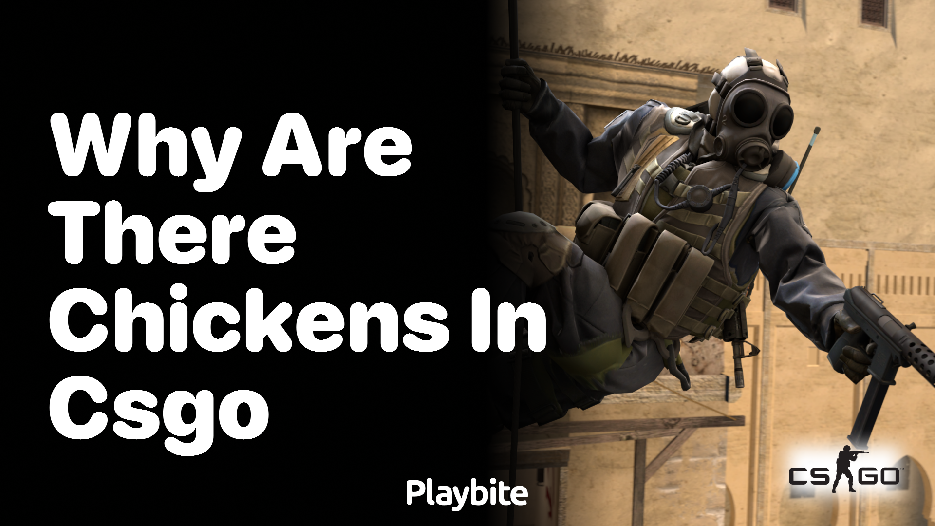 Why are there chickens in CS:GO?