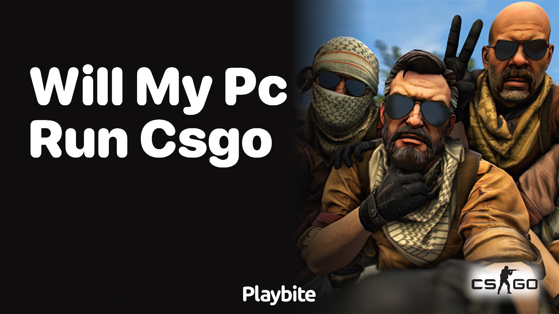 Will my PC run CS:GO?